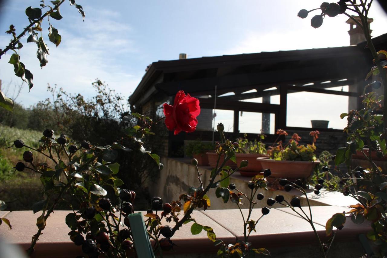 La Casa Di Bia Bed & Breakfast Corleone Exterior foto
