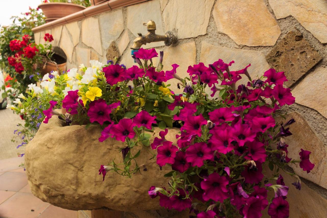 La Casa Di Bia Bed & Breakfast Corleone Exterior foto